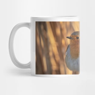 Robin dreams Mug